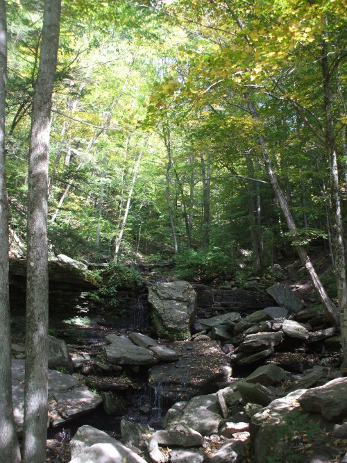 Waterfall