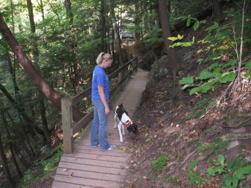 On the trail