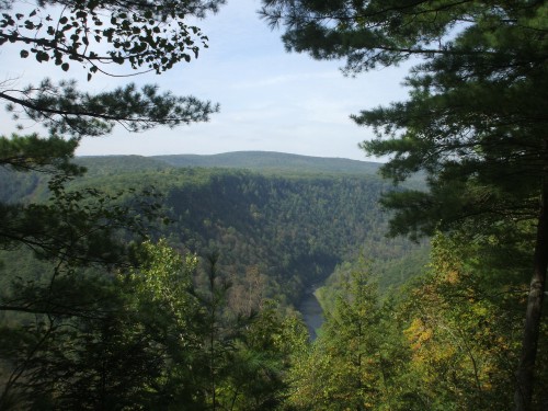 View