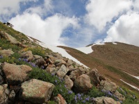 French Mountain